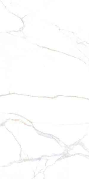 SP38H122-1__Q-100__LimitedFileSize-300kb__resized-800-px-1-300x600-1 SP38H122 1 Q 100 LimitedFileSize 300kb resized 800 px 1 300x600 1