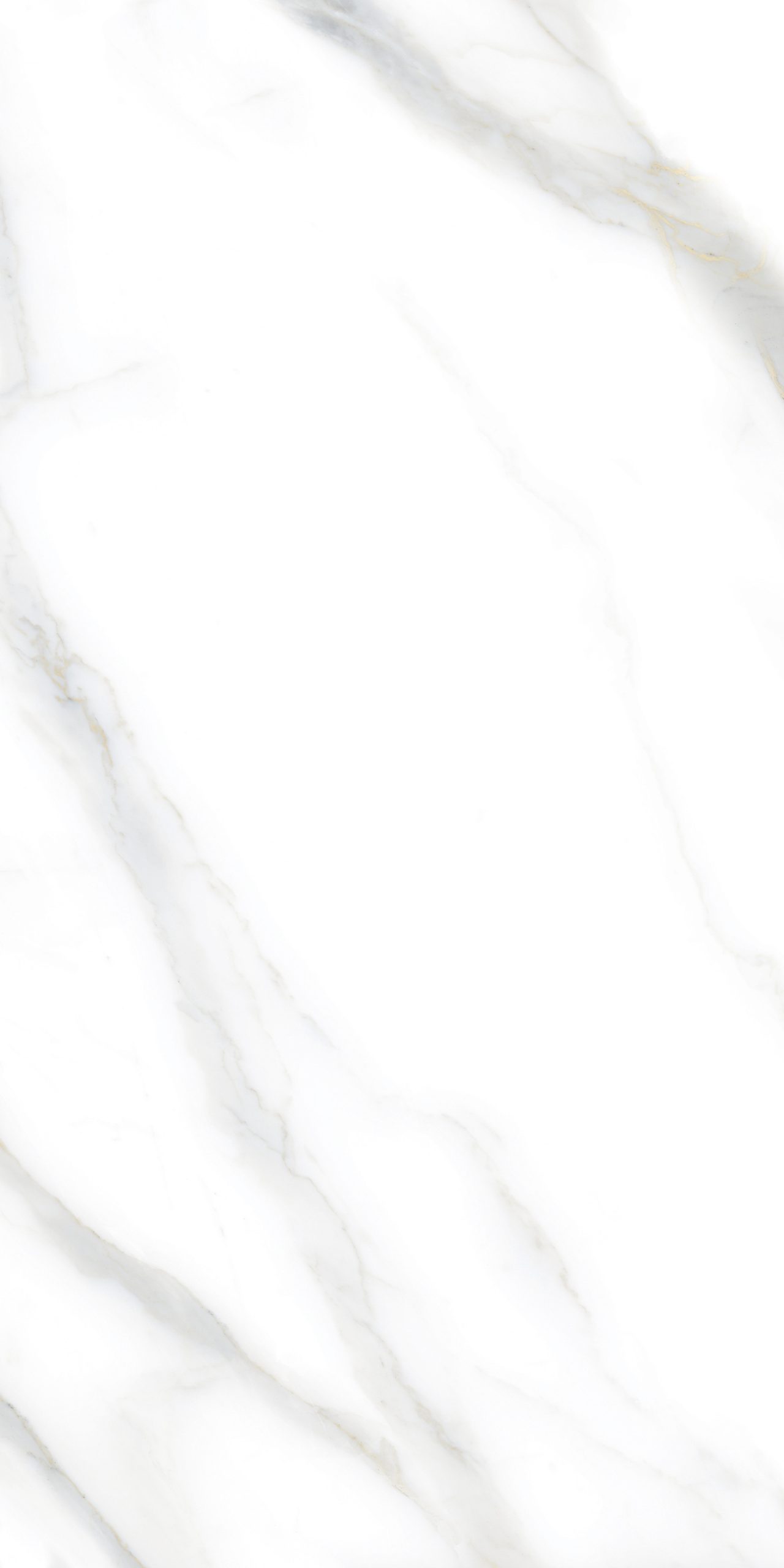TP007D62-v1_Calacatta_Polished_60x120cm_9mm TP007D62 v1 Calacatta Polished 60x120cm 9mm scaled
